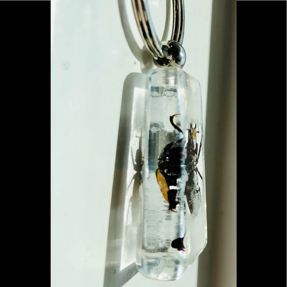 Natural beetle in acrylic resin keychain